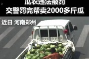 火了！罚河南瓜农200元后自掏110元买瓜直接被暖哭